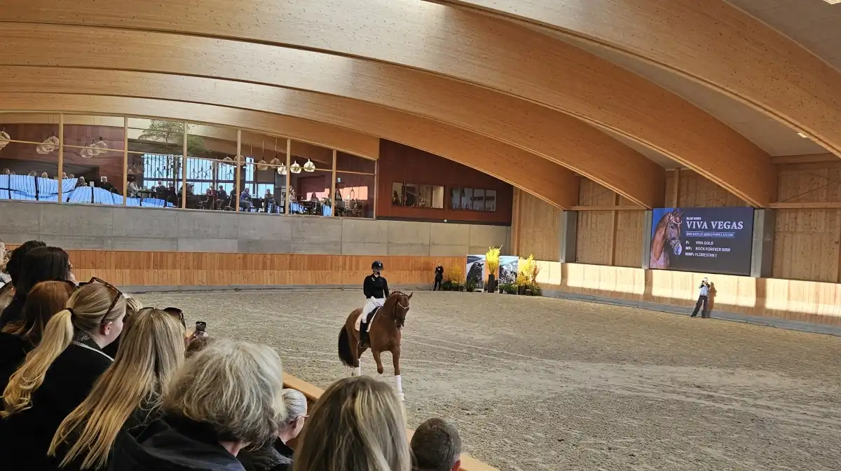 Casir hallen indefra
